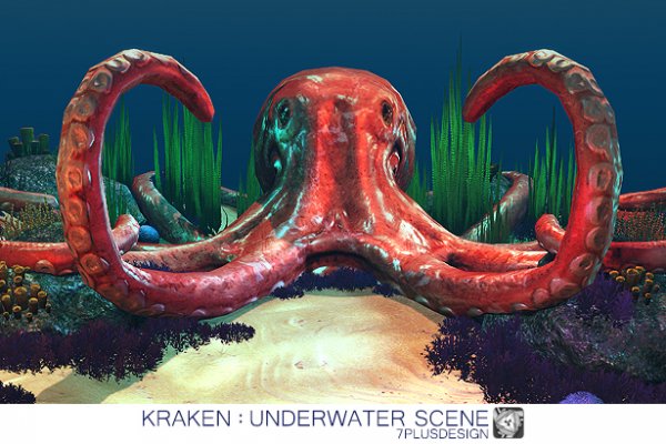 Kraken network